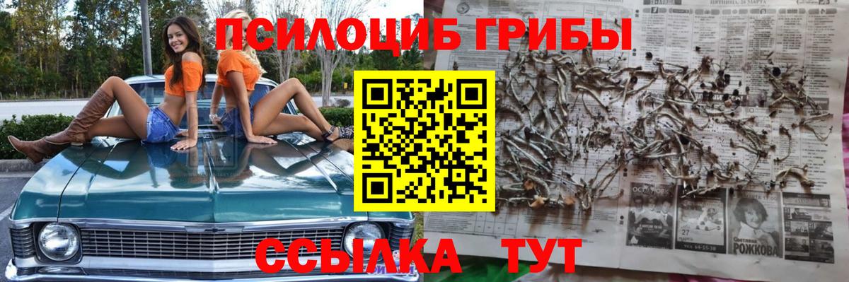 Галлюциногенные грибы прущие грибы  Вход с VPN  Кулебаки 